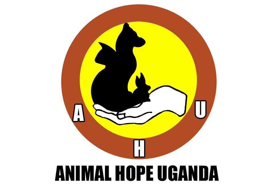 Adoption – Animal Hope Uganda